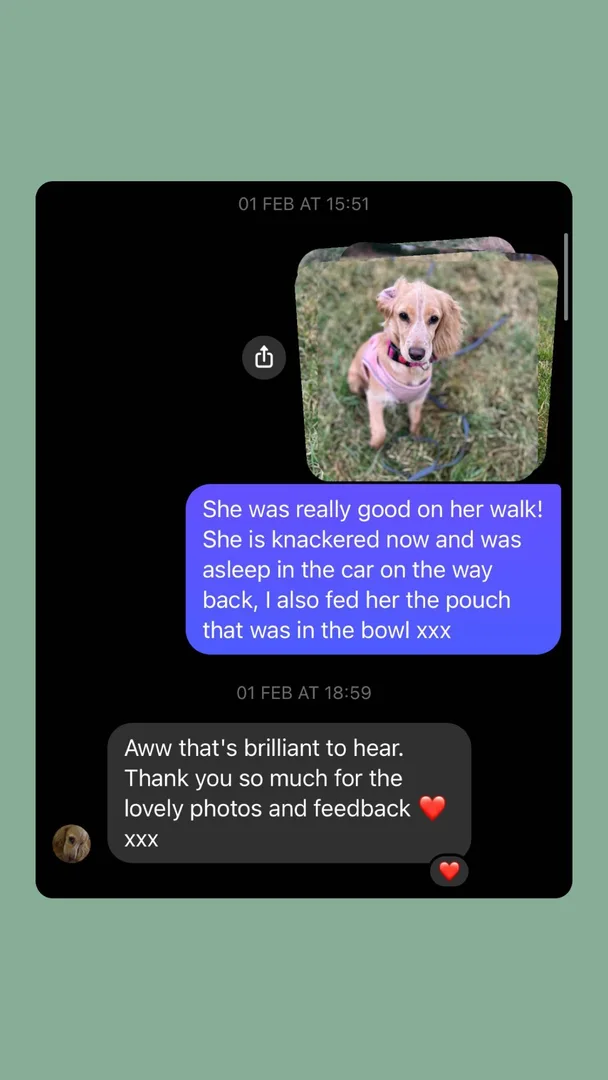 Customer testimonial