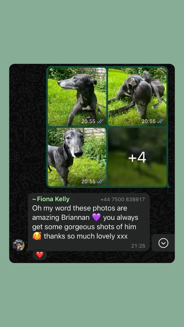 Customer testimonial