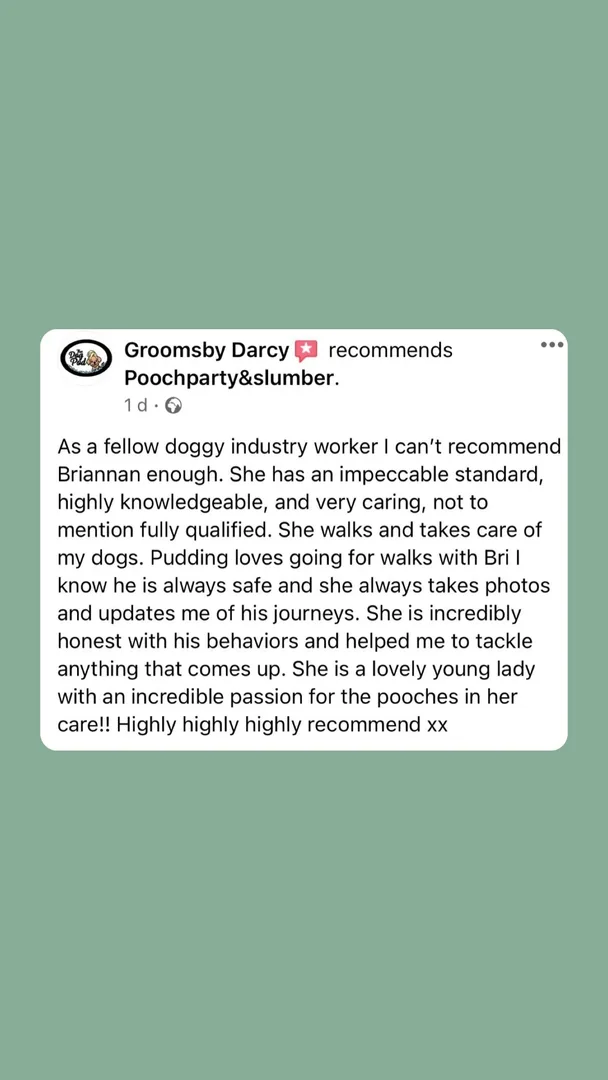Customer testimonial