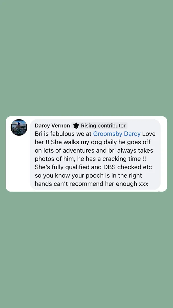 Customer testimonial