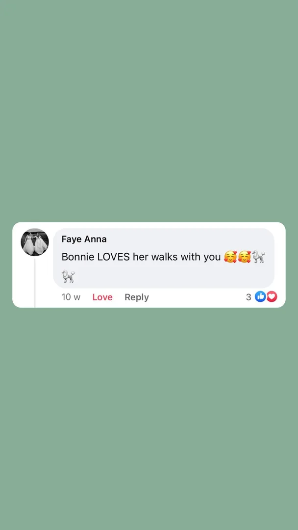 Customer testimonial