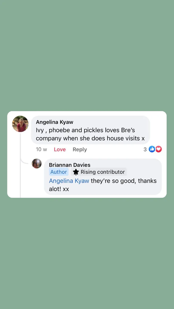 Customer testimonial